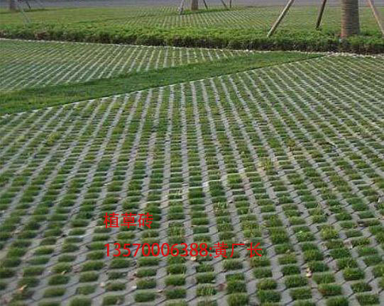 廣州8字植草磚工程
